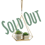 Give your plants a modern look with this gold hanging plant holder. The hanging planter features a contemporary rectangular base and triangle frame with a rope hook for a stunning balance of natural and modern design elements. The large rectangle base offers enough space for a small ivy plant or succulent. Plants not included. 