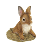 This little bunny is curious about whats going on in your yard! Place this darling sculpture in your garden and delight in his realistic details, from his subtle coloring to his fine fur. The base looks like a freshly dug hole in your yard, but who can be angry at a face like that? 